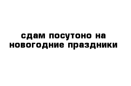 сдам посутоно на новогодние праздники